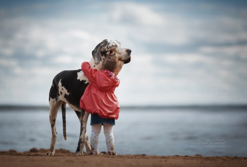 little-kids-and-their-big-dogs-by-Andy-Seliverstoff-15